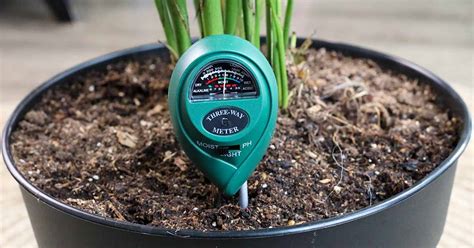 using a moisture meter to test succulent soil|how to check succulent soil moisture.